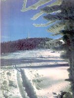 Bezručova chata, obnova