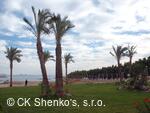 CK SHENKO´S