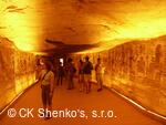 CK SHENKO´S