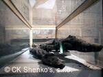 CK SHENKO´S