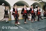 soubor Kytka