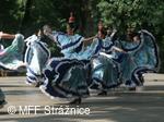 Mezinárodní folklorní festival Strážnice
