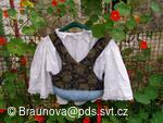 Mezinárodní folklorní festival Česká náves - Dýšina