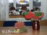 Výstava