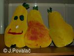 výstava