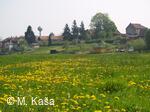 Petřvald