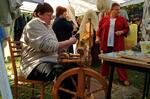 Folklorní festival Slezské dny