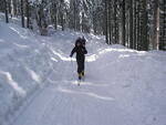Skurečená 2009
