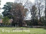 Tovačov, Zámek - zámecký park