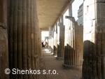 CK Shenkos, Egypt, Sakkara