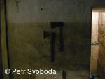 Bělotín