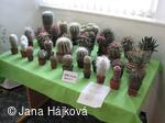 Výstava ovoce, zeleniny a květin